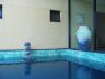 A large terracotta urn, purchased by the owners from a Garry Zeck exhibition sits in the entry foyer and overlooks the pool.